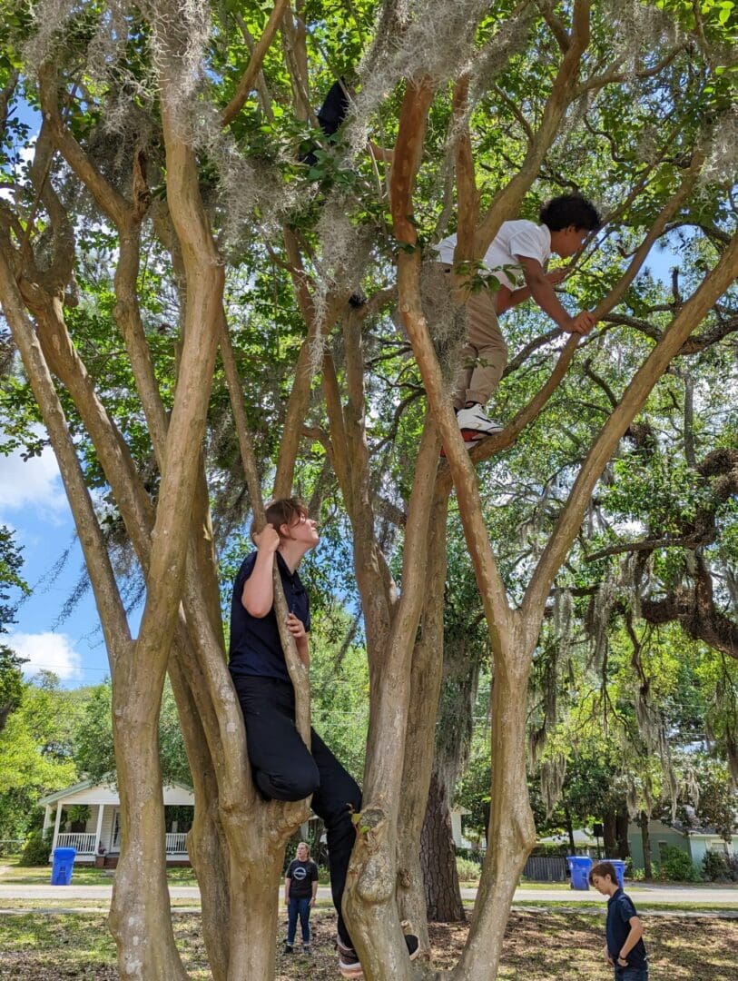 A man standing on top of a tree next to a boy.